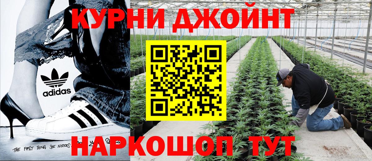 Каннабис сатива Бор